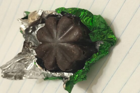 Big Mex - Chocolate Mushroom - Image 2