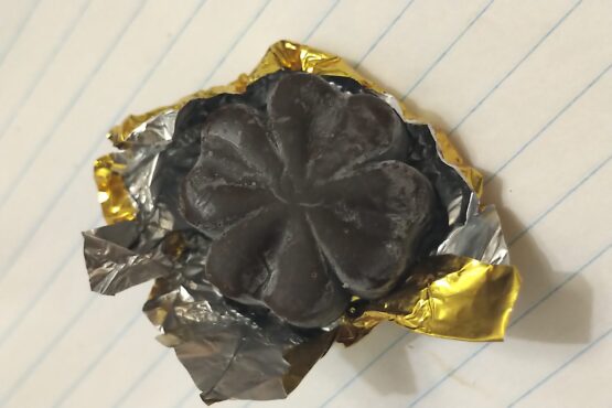 Golden Teachers - Mushroom Chocolates - Image 2
