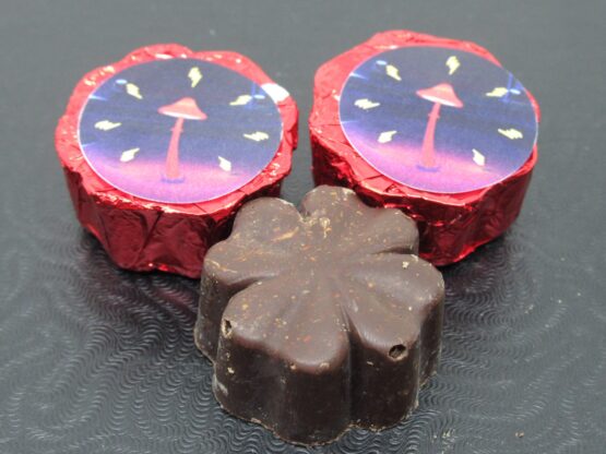 Penis Envy - Chocolate Mushroom - Image 2