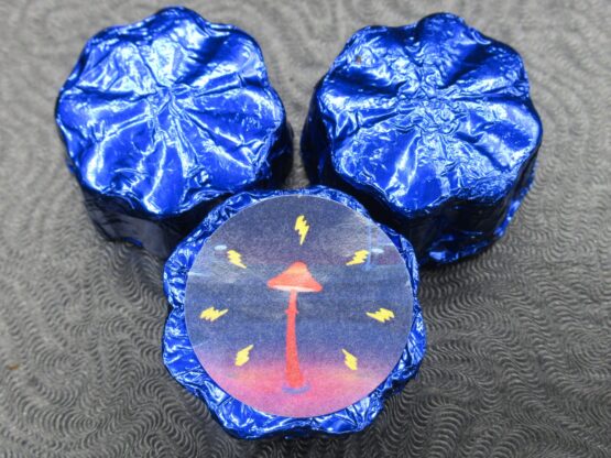 Transkei - Mushroom Chocolates