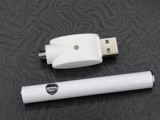 GG PURE Vape Pen, USB charger and case. - Image 2