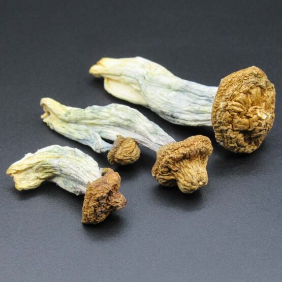 Magic Mushrooms - Penis Envy (aka) McKenna