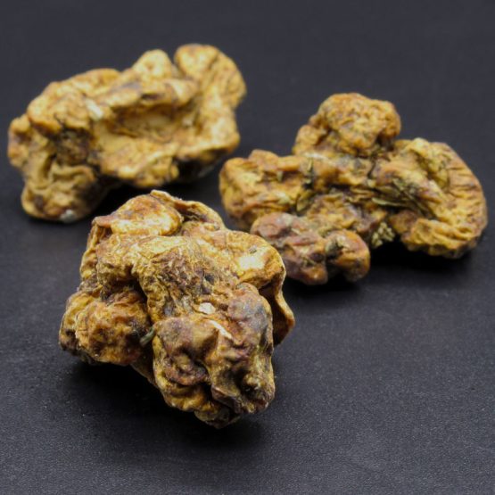 Magic Mushrooms - Philosopher's Stone