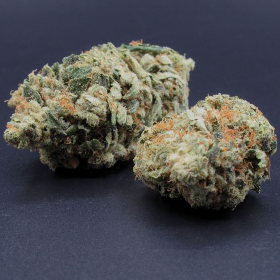 Silverback (indica dom hybrid) AAA