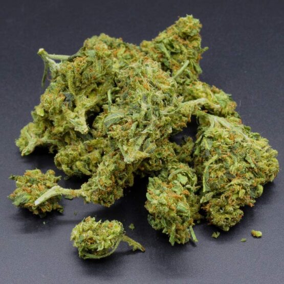 BC OUTDOOR - Amnesia Haze (sativa dom hybrid)