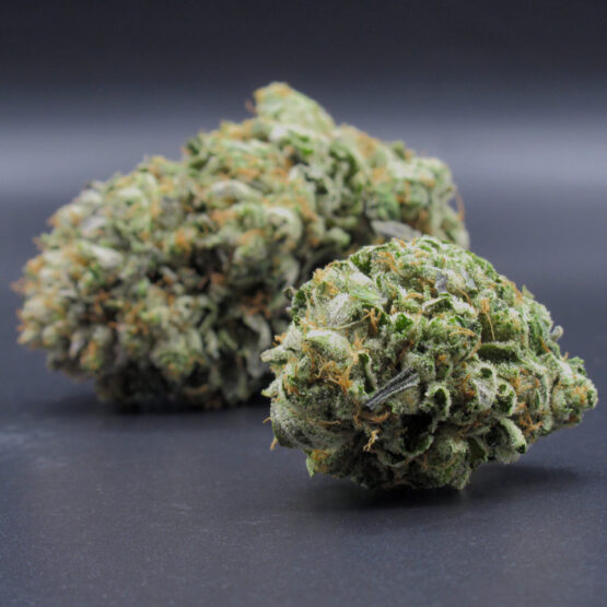 Island Pink (indica dom hybrid) AAA
