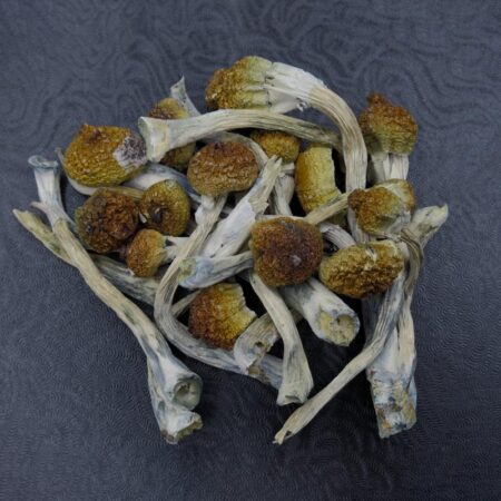Magic Mushrooms-Golden Teachers