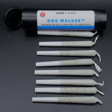 Now + Then - Dog Walker - 8 x 0.5g Indica Prerolls