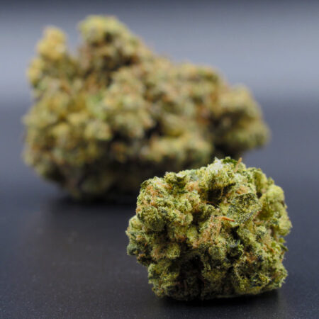 Silver Haze (sativa dom hybrid)