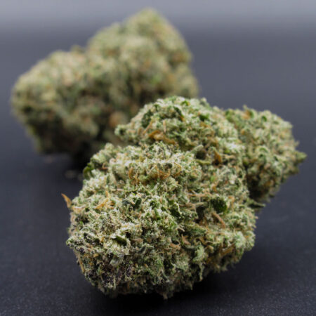 Blueberry x God Bud (indica dom hybrid) A