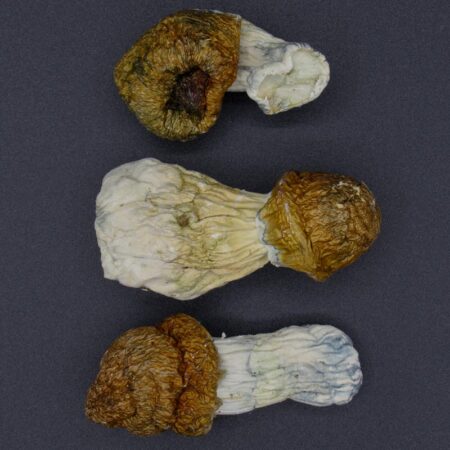 Magic Mushrooms - Melmac