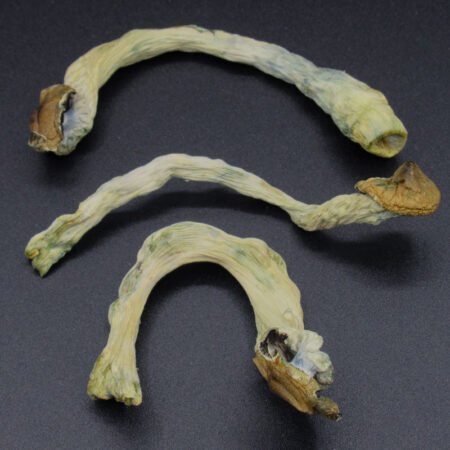 Magic Mushrooms - Jedi Mind Fuck