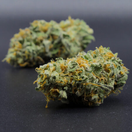 Dirty Dave's Mutant Breath (hybrid) AAAA - LSO (Live Soil Organic)