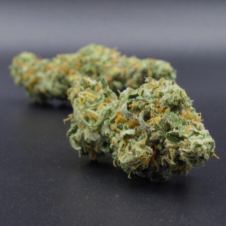 Dirty Dave's TK91 (indica dom hybrid) AAAA - LSO (Live Soil Organic)