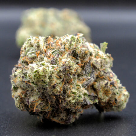 Bread N' Butter (hybrid) - Classic Quality