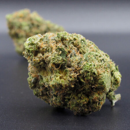 Pine Tar (indica) - Connoisseur