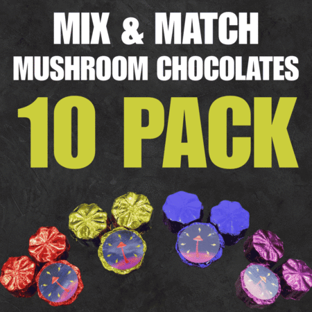 Mix & Match Magic Mushroom Chocolates Bundle - Choose 10!