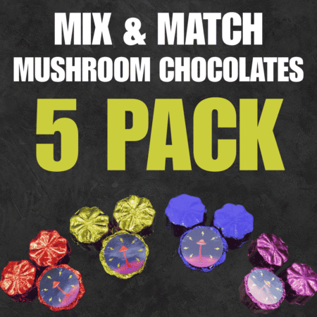 Mix & Match Magic Mushroom Chocolates Bundle - Choose 5!