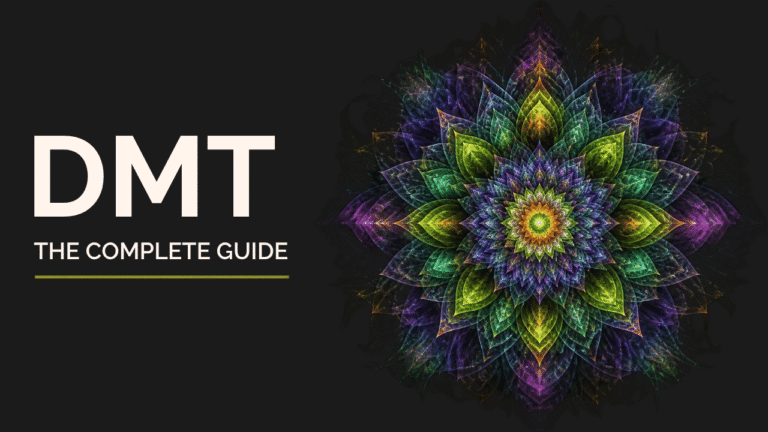 Colourful psychedelic fractal mandala with intricate, symmetrical patterns against a dark background.