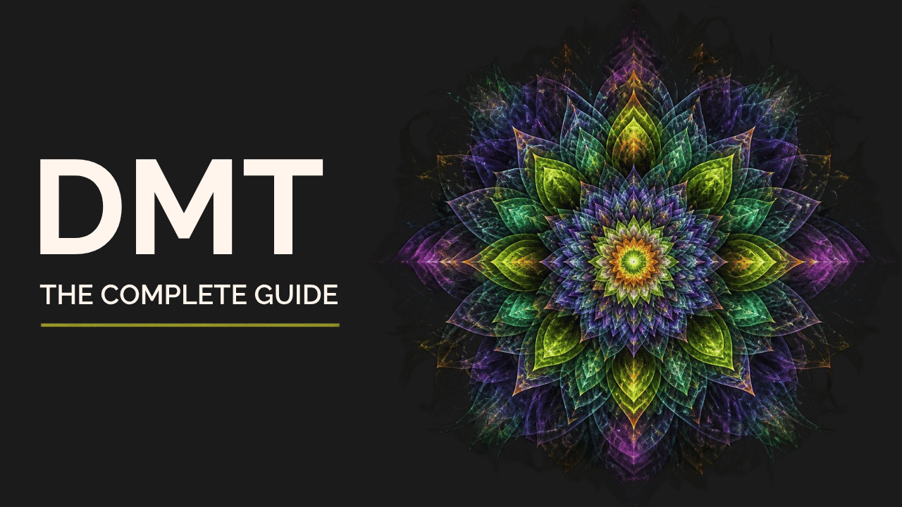 Colourful psychedelic fractal mandala with intricate, symmetrical patterns against a dark background.